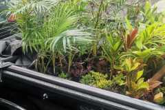 IMG-20240606-WA0184