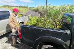IMG-20240606-WA0189