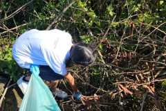 IMG-20240606-WA0203