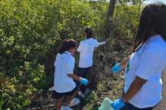 IMG-20240606-WA0224