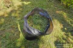 IMG-20240606-WA0288
