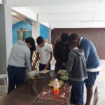 Planting in egg tray