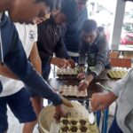 Planting in egg tray